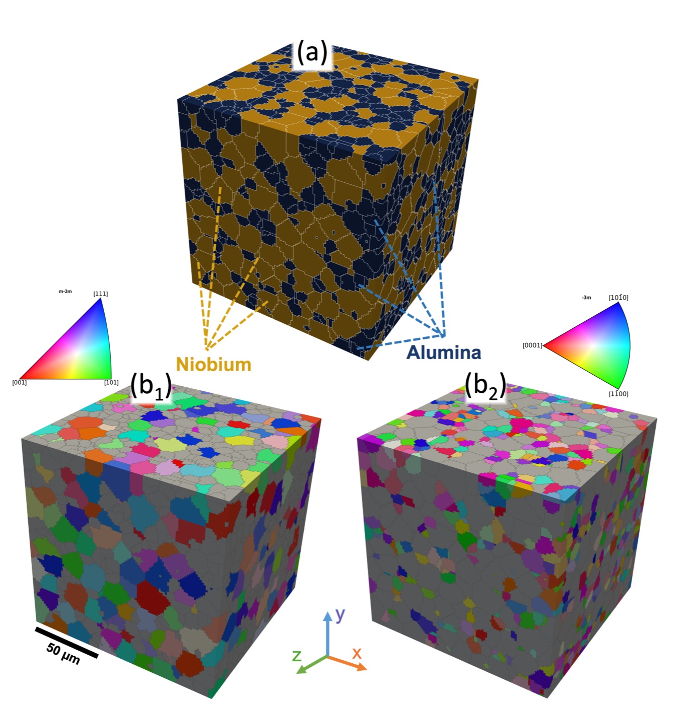EBSD-derived RVE construction for crystal plasticity simulation